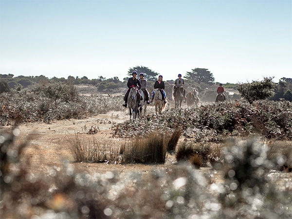 Narawntapu horse riding