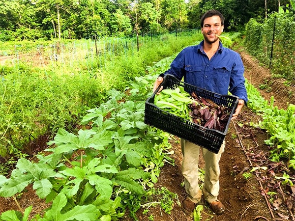 Hidden Garden Sustainable Farm.