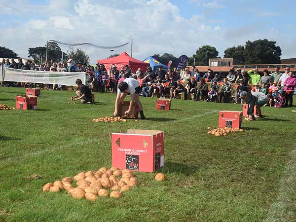 Festivities at the Thorpdale Potato Festival