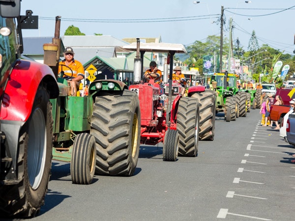 Babinda Harvest Festival