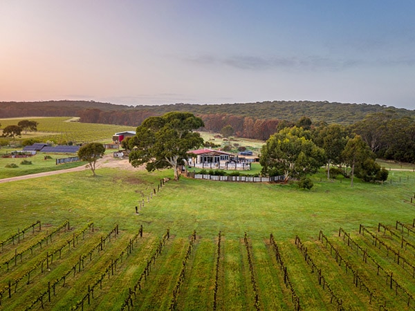 Aerial view, False Cape Wines, Kangaroo Island, South Australia