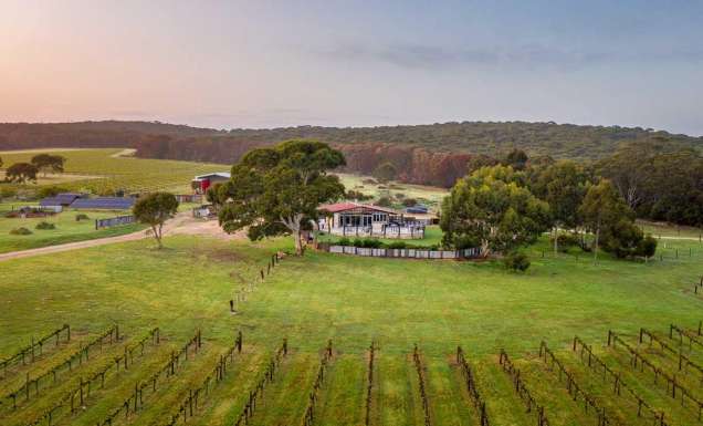 Aerial view of False Cape Wines in Kangaroo Island, South Australia