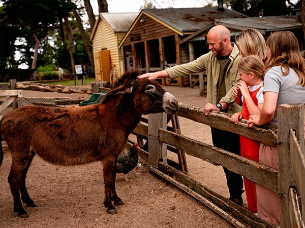 A Family at Churchill Island, on a roadtrip to Phillip Island, Gippsland, VIC, Australia
