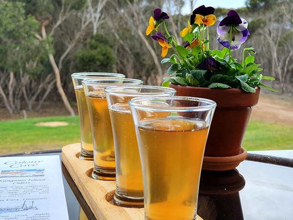 Glasses of Cider at Emu Ridge Eucalyptus Oil Distillery, Kangaroo Island, SA, Australia