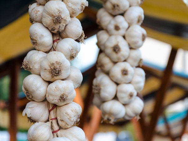 Meeniyan Garlic Festival is an Aussie food festival in South Gippsland
