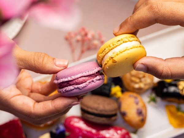 macarons at Solander Afternoon Tea