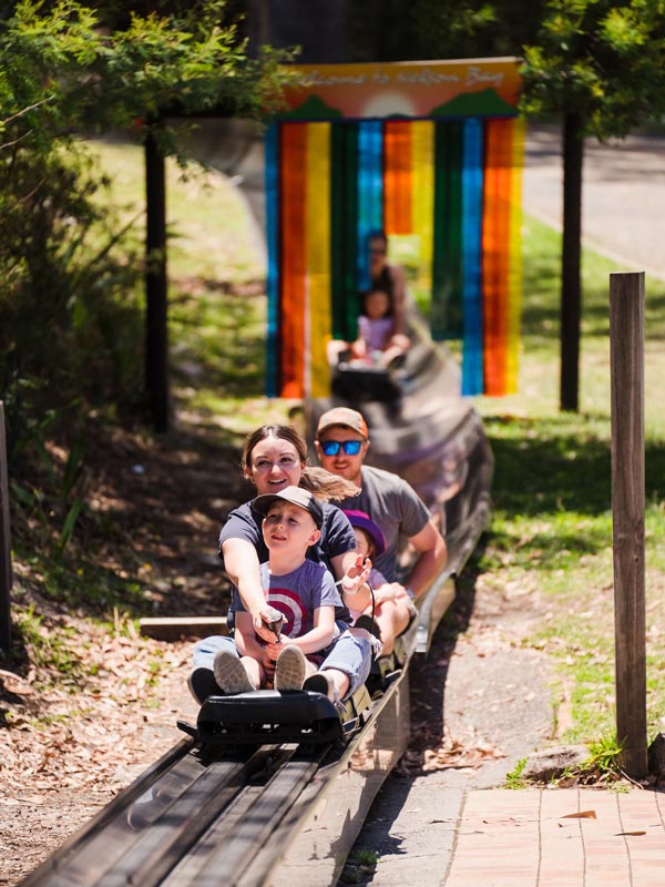 Family on the toboggans at the Toboggan Hill Park.