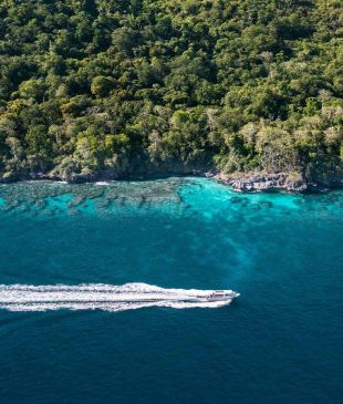 <p><i>The perfect</i> <strong>Christmas Island</strong> itinerary</p>

