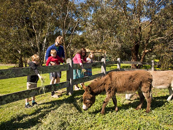 Mini golf at Adventure, Grampians, VIC, Australia