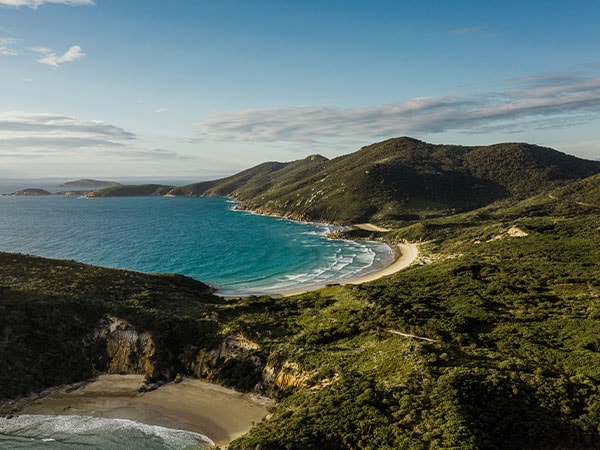 Green landscape, Gippsland, Australia