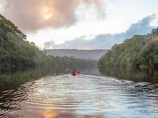 Kayaking in Tasmania Pieman River