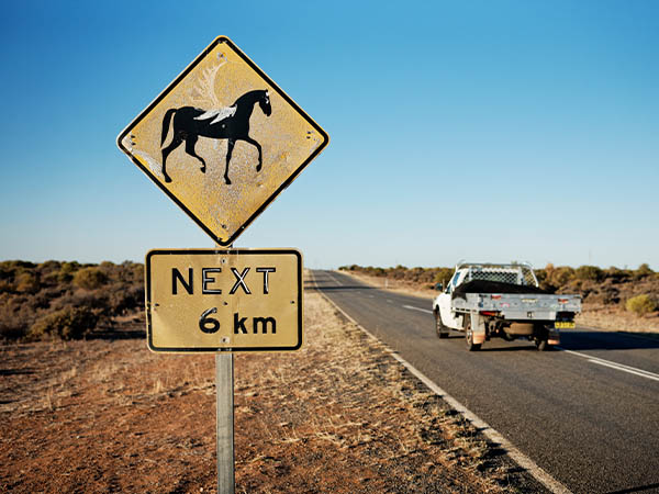Darling River Run Open Road