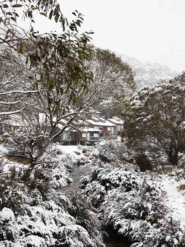 Cedar Cabin The Eastern Thredbo