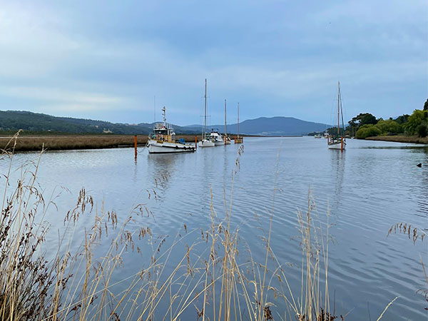 Huon River from Franklin