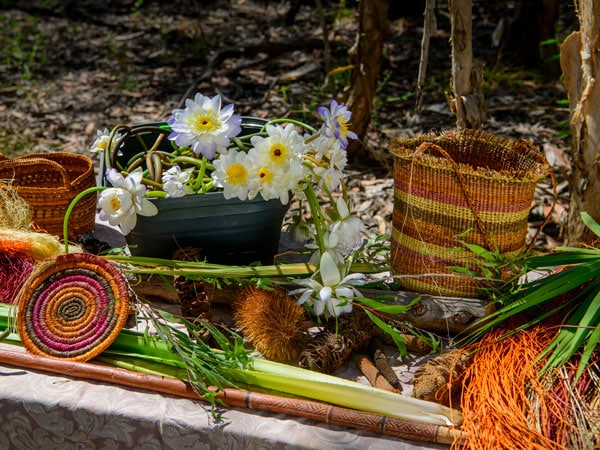 Taste of Kakadu in NT