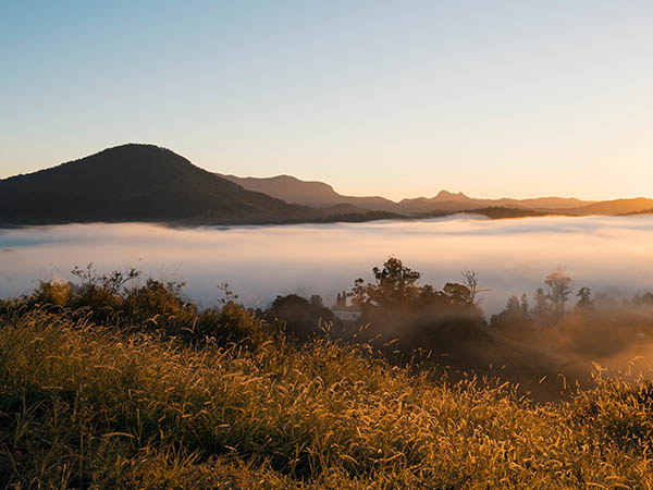 Tweed Valley Scenery Murwillumba 