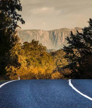 <p><i>Great Valley Trail</i>: the <strong>Great Alpine Road’s</strong> equally great bike trail</p>
