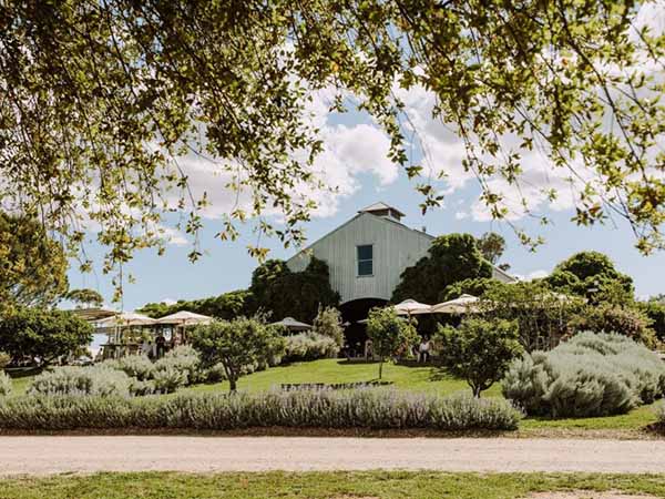 Lowe Family Wine Mudgee
