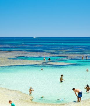 <p><i>12 amazing things to do on</i> <strong>WA’s</strong> iconic <strong>South West Edge</strong> road trip</p>
