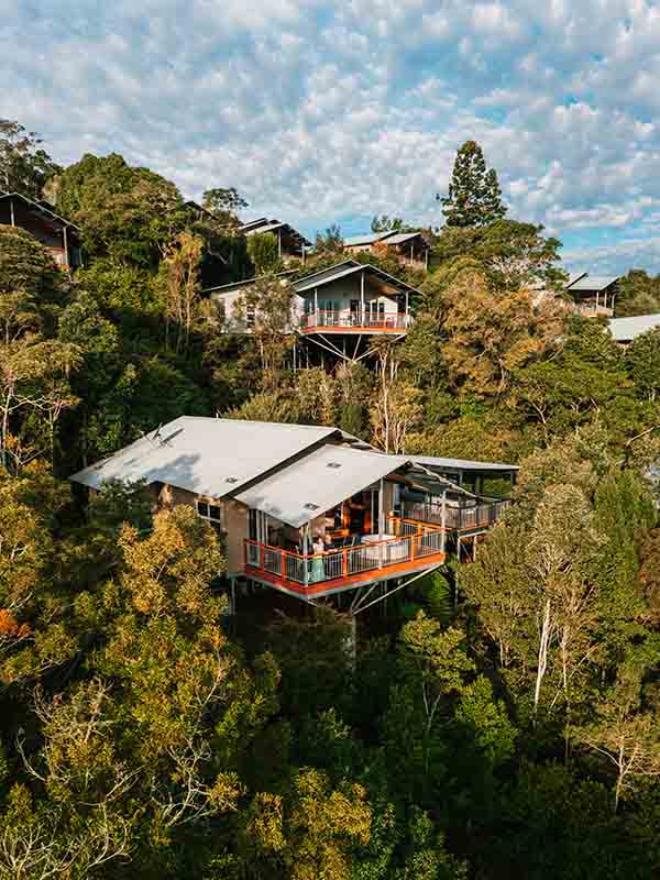 O'Reilly’s Rainforest Retreat Queensland