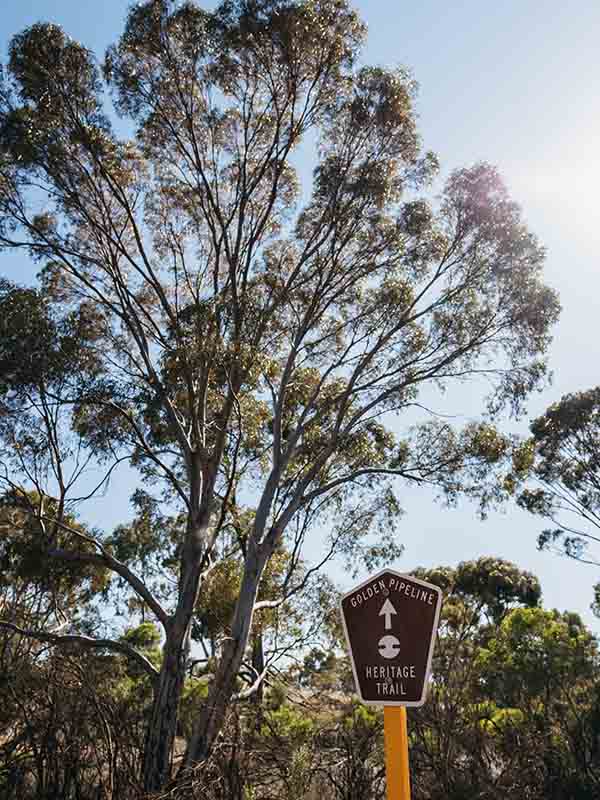 Australia Golden Pipeline Sign Merredin