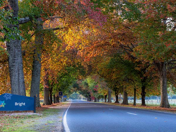 Bright in Autumn, VIC, Australia