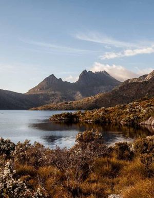 cradle mountain road trip