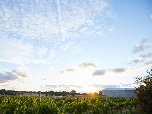 Stopover during The drive from Sydney to Canberra, Australia