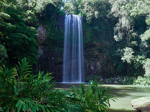 Millaa Millaa falls
