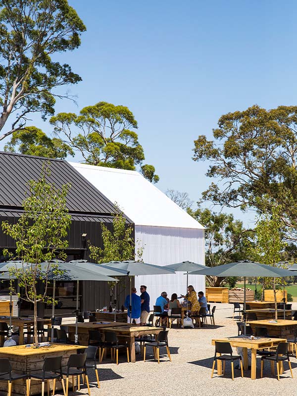 Lot 100 South Australia