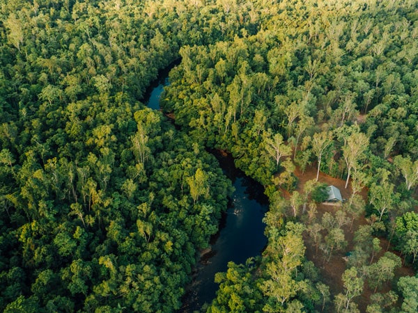 an aerial view of Abergowrie State Forest