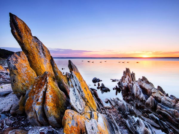 American River, Kangaroo Island, South Australia, Australia