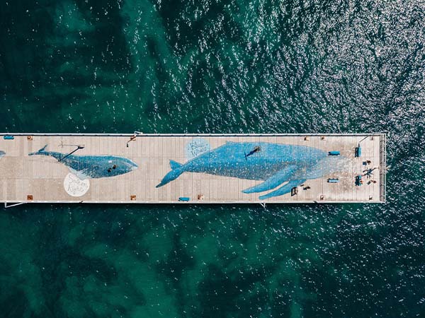 Blue Whale Artwork on Busselton Jetty_Image Credit Tourism Western Australia, part of the AAT Kings experience