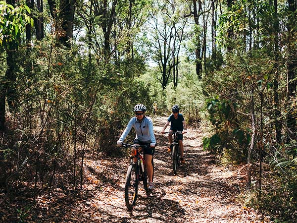 Mountain biking through the forest trails of Lane Poole Reserve, Dwellingup, WA, Australia
