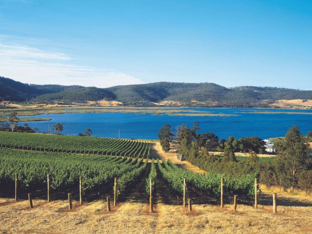 view of derwent river from Derwent Estate tasmania