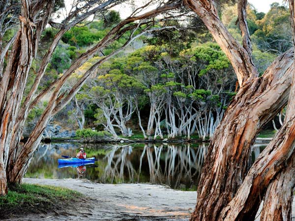 Duck Lagoon Campground, Kangaroo Island, South Australia, Australia