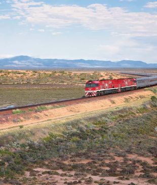 <p>The best road trips that <em>don&#8217;t require you to drive</em></p>
