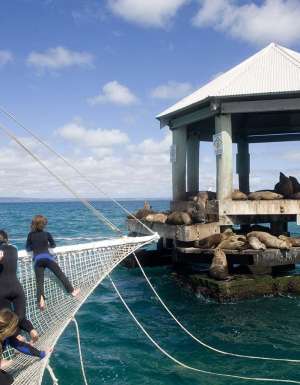 Chinamans Hat, Port Phillip Bay, Geelong, VIC, Australia