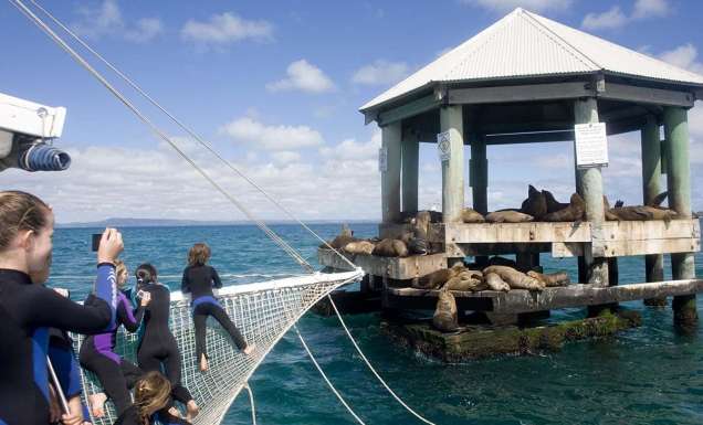 Chinamans Hat, Port Phillip Bay, Geelong, VIC, Australia