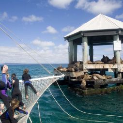 Chinamans Hat, Port Phillip Bay, Geelong, VIC, Australia