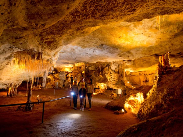 Family tour a cave inside the Naracoorte Caves National Park