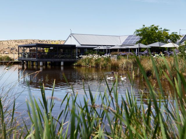 Puddleduck Vineyard tasmania