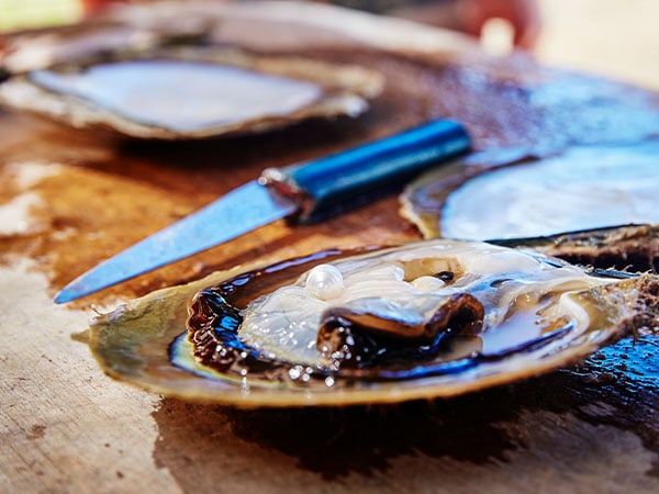 Pearls from Broome, North West, WA
