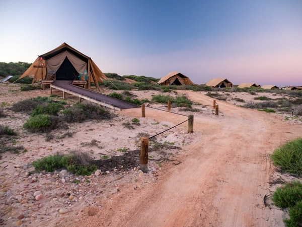 Camp Safari in Sal Salis, Coral Coast, WA