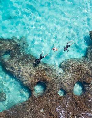 Snorkel Coral Bay