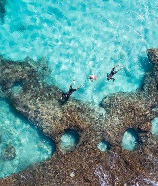 <p><i>Unforgettable underwater encounters</i> on the <strong>Coral Coast</strong></p>
