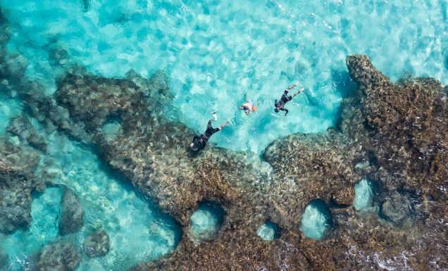 Snorkel Coral Bay