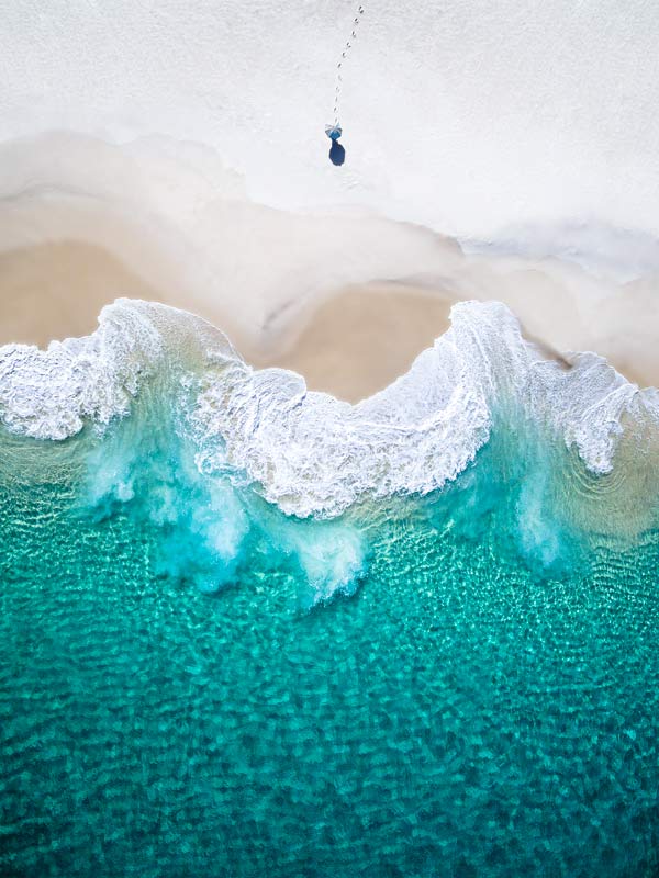 Albany shot by saltywings