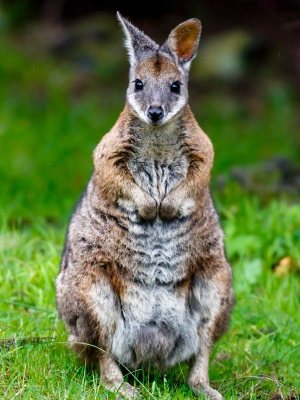 Kalbarri National Park