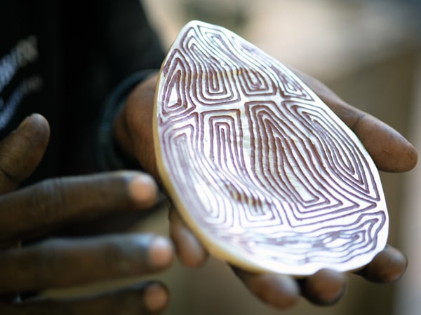Pearl shells from Indigenous tour in WA